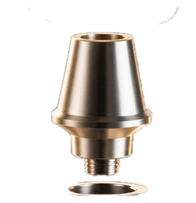 Abutment